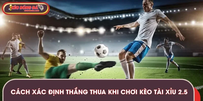 keo-tai-xiu-2-5-cach-xac-dinh-thang-thua